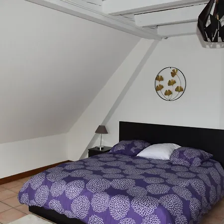 Villa Rixheim Villa *