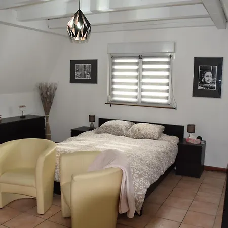 Villa Rixheim Villa *